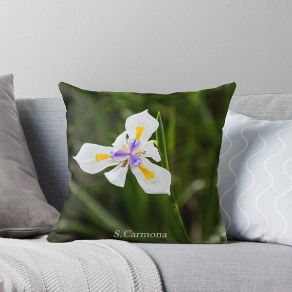 Item preview, White Dietes Grandiflora Wild Iris Botanical Flower Art designed and sold by AuraInkSC.
