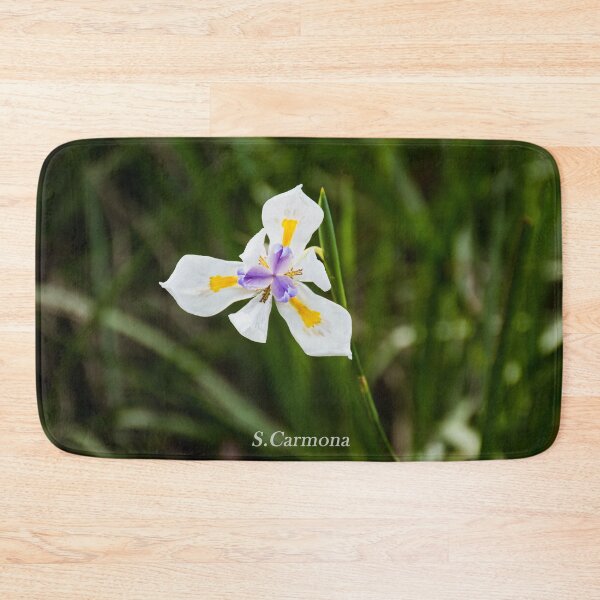 Item preview, White Dietes Grandiflora Wild Iris Botanical Flower Art designed and sold by AuraInkSC.