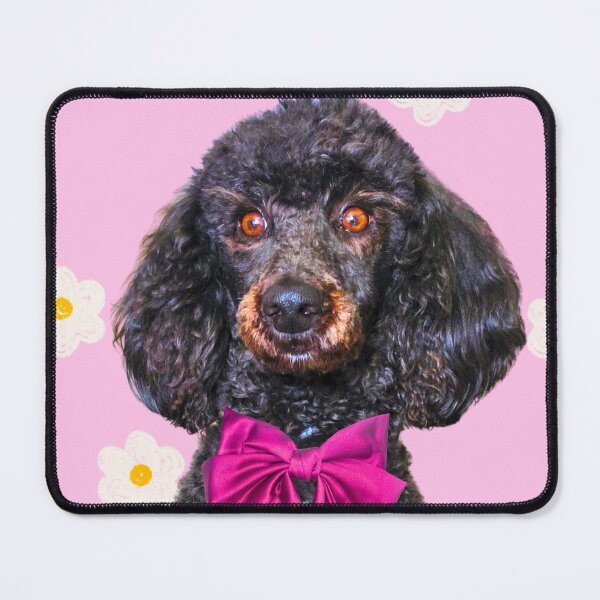 Item preview, "Lily" by Jenette Hewitt Art JKH63 designed and sold by Jenette Hewitt Art.
