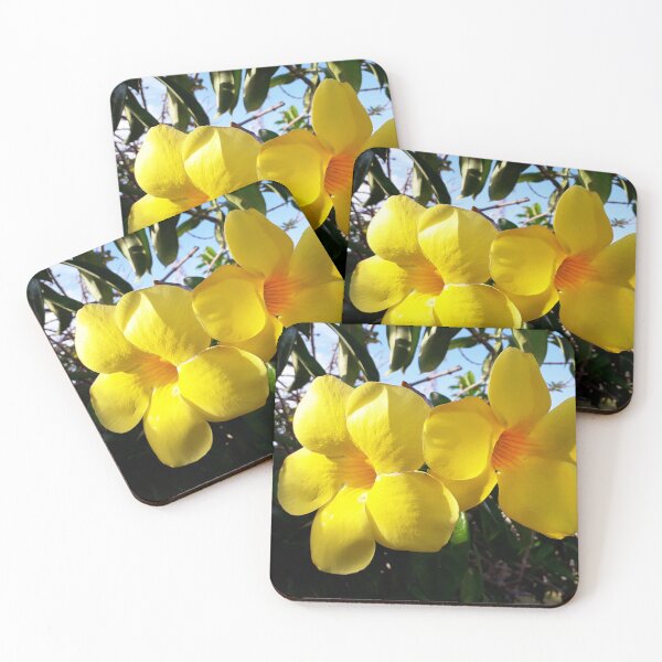 Item preview, Buttercup Flowers designed and sold by HJ-Photography.