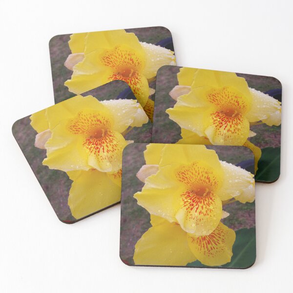 Item preview, Canna Lily designed and sold by HJ-Photography.