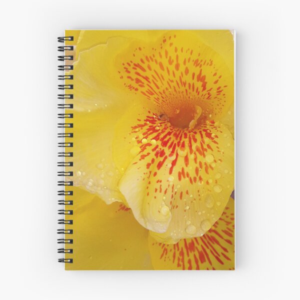 Item preview, Lirio de caña designed and sold by HJ-Photography.