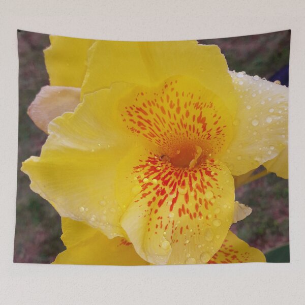 Item preview, Canna Lily designed and sold by HJ-Photography.