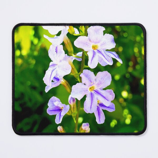 Item preview, Golden Dewdrop designed and sold by HJ-Photography.