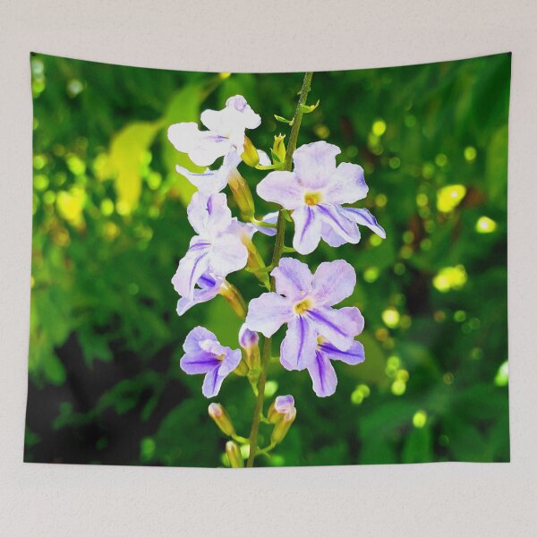Item preview, Golden Dewdrop designed and sold by HJ-Photography.