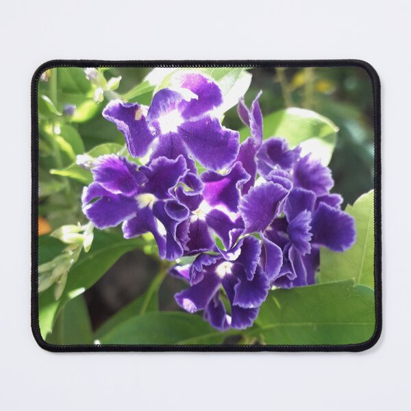 Item preview, Sky Flower designed and sold by HJ-Photography.