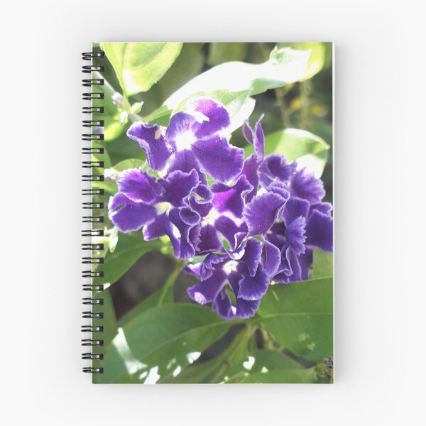 Item preview, Sky Flower designed and sold by HJ-Photography.