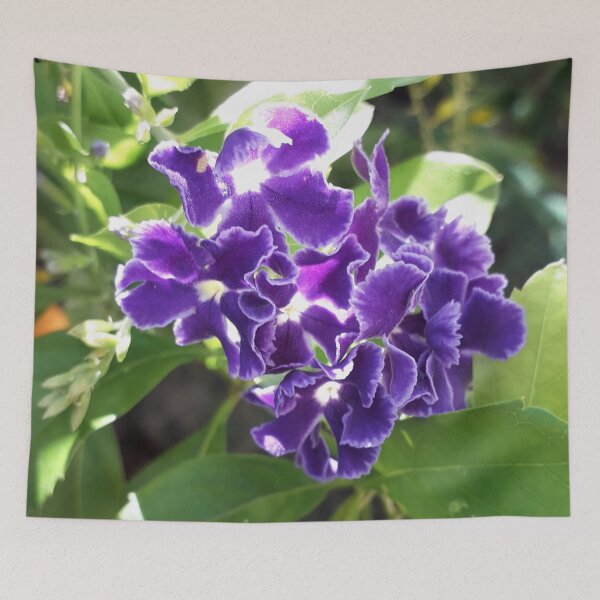 Item preview, Sky Flower designed and sold by HJ-Photography.