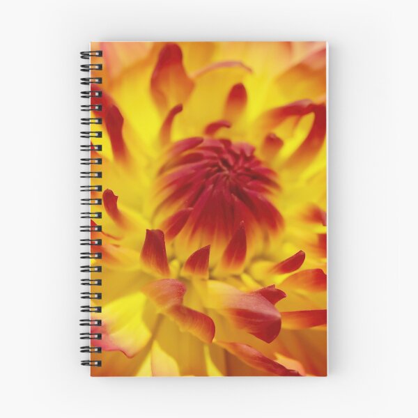 Item preview, A Beautiful Two Colored Summer Dahlia designed and sold by JonnaHurmerinta.
