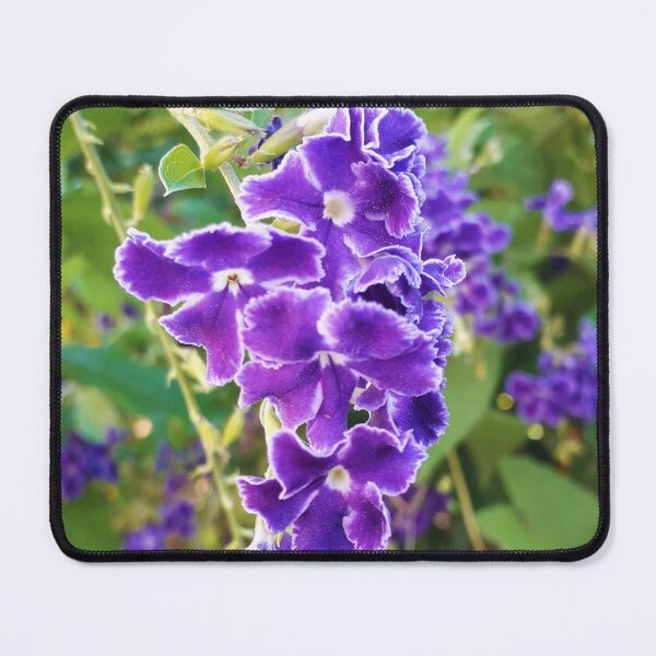 Item preview, Pigeon Berry designed and sold by HJ-Photography.