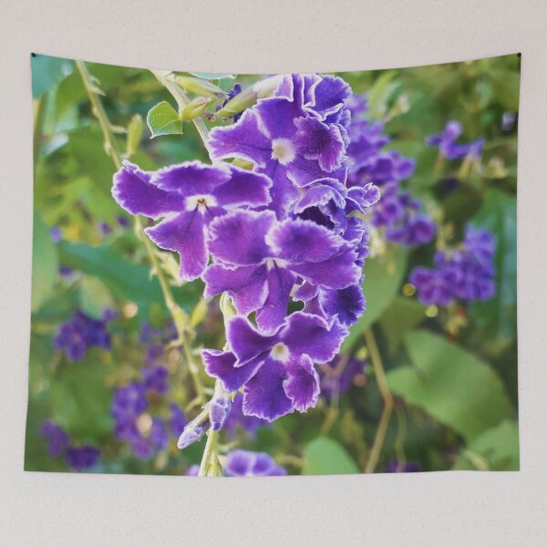 Item preview, Pigeon Berry designed and sold by HJ-Photography.