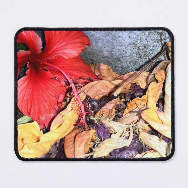 Item preview, Hibiscus Flower and Dried Leaves designed and sold by HJ-Photography.