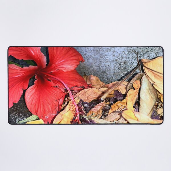 Item preview, Hibiscus Flower and Dried Leaves designed and sold by HJ-Photography.