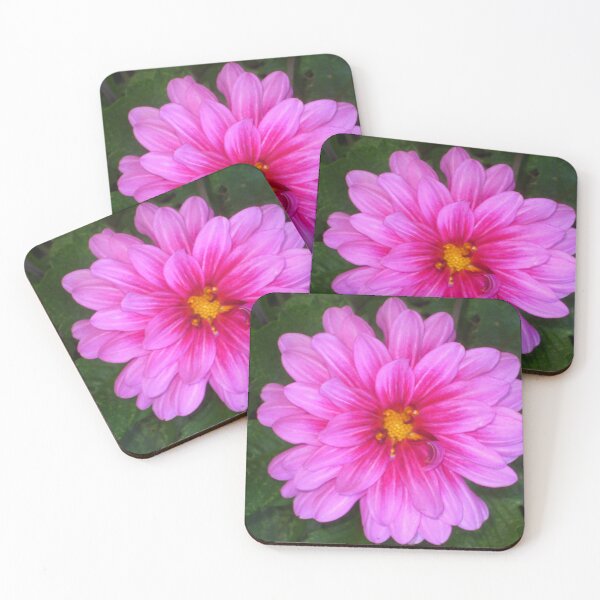 Item preview, Pink Dahlia Zinging and Singing to the Sun designed and sold by JoyousArt4u.
