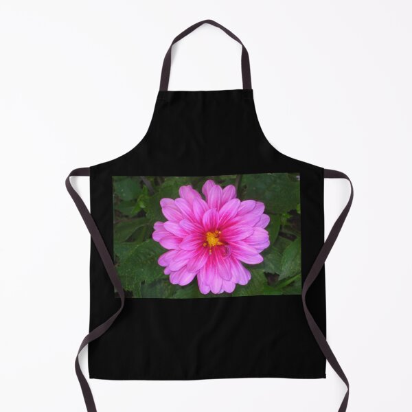 Item preview, Pink Dahlia Zinging and Singing to the Sun designed and sold by JoyousArt4u.