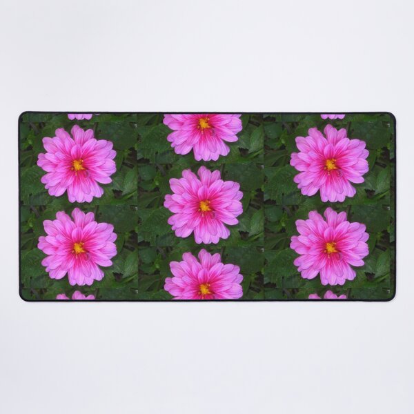 Item preview, Pink Dahlia Zinging and Singing to the Sun designed and sold by JoyousArt4u.
