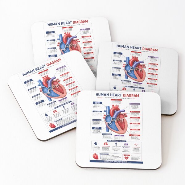 Item preview, Human Heart Anatomy Educational Diagram designed and sold by KARTICK DUTTA.