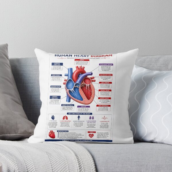 Item preview, Human Heart Anatomy Educational Diagram designed and sold by KARTICK DUTTA.