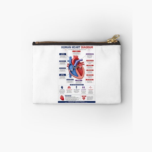 Item preview, Human Heart Anatomy Educational Diagram designed and sold by KARTICK DUTTA.