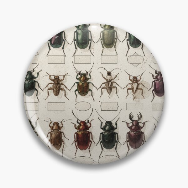 Item preview, Vintage Beetle Specimen Plate designed and sold by PictorialWhimsy.