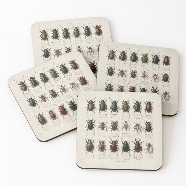 Item preview, Vintage Beetle Specimen Plate designed and sold by PictorialWhimsy.