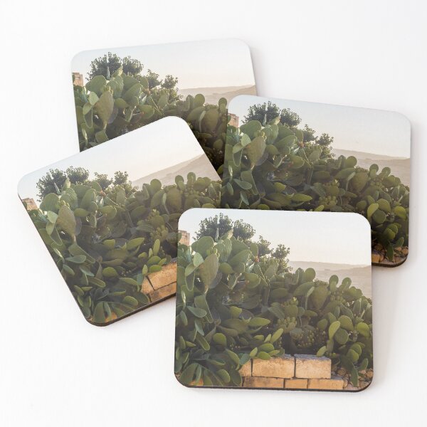 Item preview,  Prickly Pear Cactus Cluster On Stone Wall At Golden Sunset Over Rural Mediterranean Hills designed and sold by Nmallia.