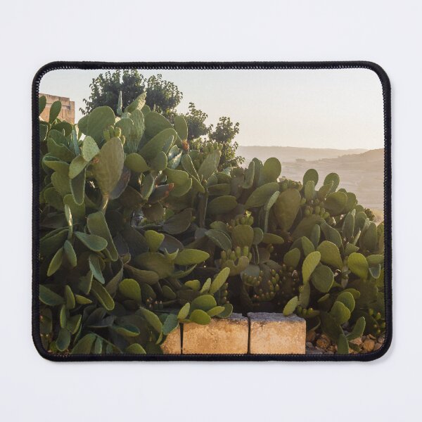 Item preview, Prickly Pear Cactus Cluster On Stone Wall At Golden Sunset Over Rural Mediterranean Hills designed and sold by Nmallia.