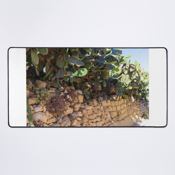 Item preview, Prickly Pear Cactus Cluster On Stone Wall At Golden Sunset Over Rural Mediterranean Hills designed and sold by Nmallia.