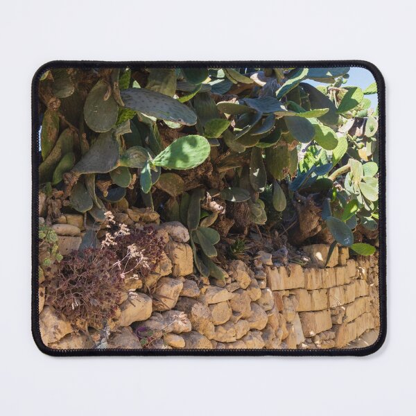 Item preview, Prickly Pear Cactus Cluster On Stone Wall At Golden Sunset Over Rural Mediterranean Hills designed and sold by Nmallia.