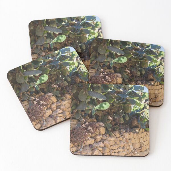 Item preview, Prickly Pear Cactus Cluster On Stone Wall At Golden Sunset Over Rural Mediterranean Hills designed and sold by Nmallia.