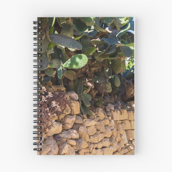 Item preview, Prickly Pear Cactus Cluster On Stone Wall At Golden Sunset Over Rural Mediterranean Hills designed and sold by Nmallia.
