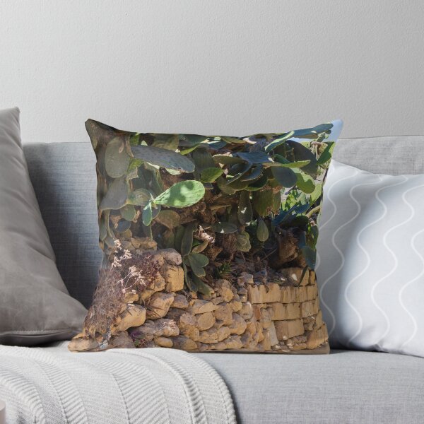 Item preview, Prickly Pear Cactus Cluster On Stone Wall At Golden Sunset Over Rural Mediterranean Hills designed and sold by Nmallia.