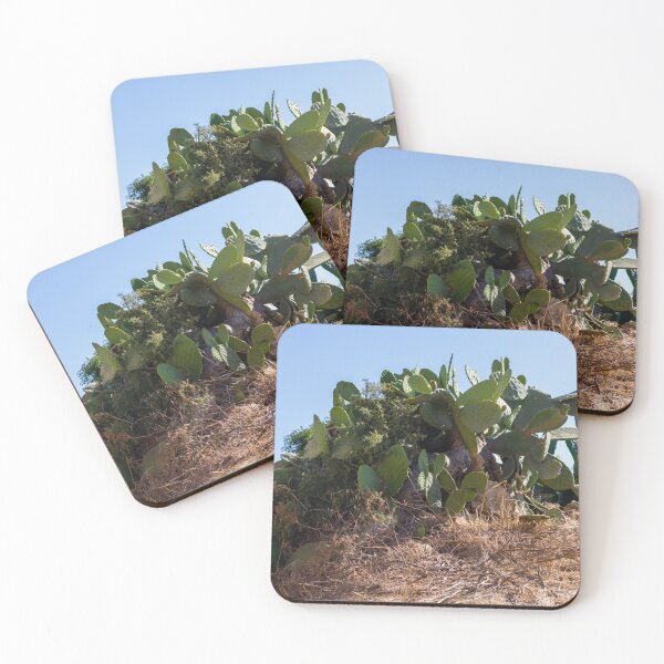 Item preview,  Prickly Pear Cactus Cluster On Stone Wall At Golden Sunset Over Rural Mediterranean Hills designed and sold by Nmallia.