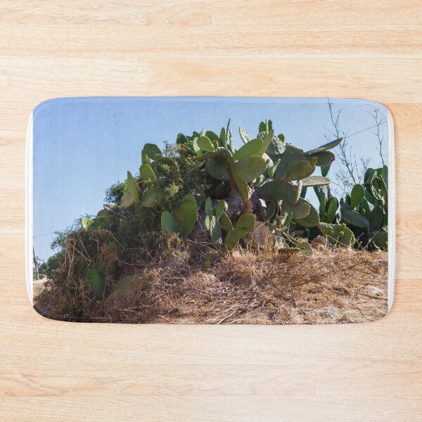 Item preview,  Prickly Pear Cactus Cluster On Stone Wall At Golden Sunset Over Rural Mediterranean Hills designed and sold by Nmallia.