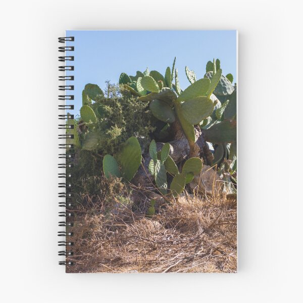 Item preview,  Prickly Pear Cactus Cluster On Stone Wall At Golden Sunset Over Rural Mediterranean Hills designed and sold by Nmallia.