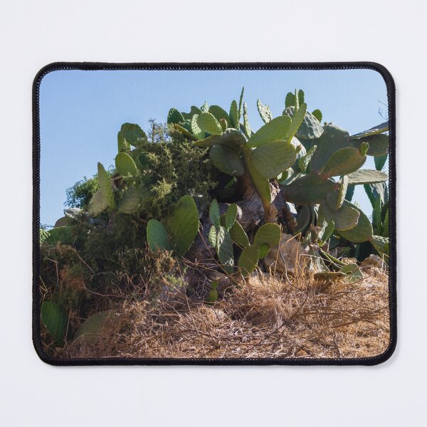Item preview, Prickly Pear Cactus Cluster On Stone Wall At Golden Sunset Over Rural Mediterranean Hills designed and sold by Nmallia.