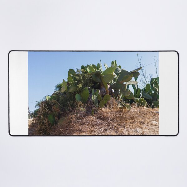 Item preview, Prickly Pear Cactus Cluster On Stone Wall At Golden Sunset Over Rural Mediterranean Hills designed and sold by Nmallia.