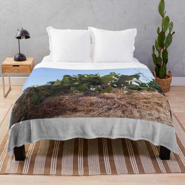 Item preview,  Prickly Pear Cactus Cluster On Stone Wall At Golden Sunset Over Rural Mediterranean Hills designed and sold by Nmallia.