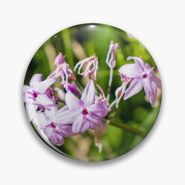 Item preview, Close-Up Of Delicate Purple Wildflowers Blooming In Sunlit Green Garden With Soft Pink Petals designed and sold by Nmallia.