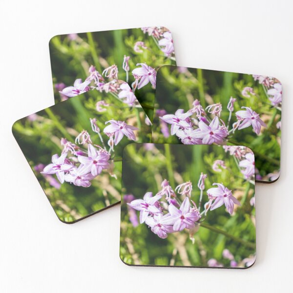 Item preview, Close-Up Of Delicate Purple Wildflowers Blooming In Sunlit Green Garden With Soft Pink Petals designed and sold by Nmallia.