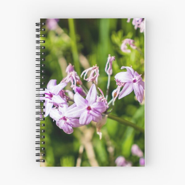 Item preview, Close-Up Of Delicate Purple Wildflowers Blooming In Sunlit Green Garden With Soft Pink Petals designed and sold by Nmallia.