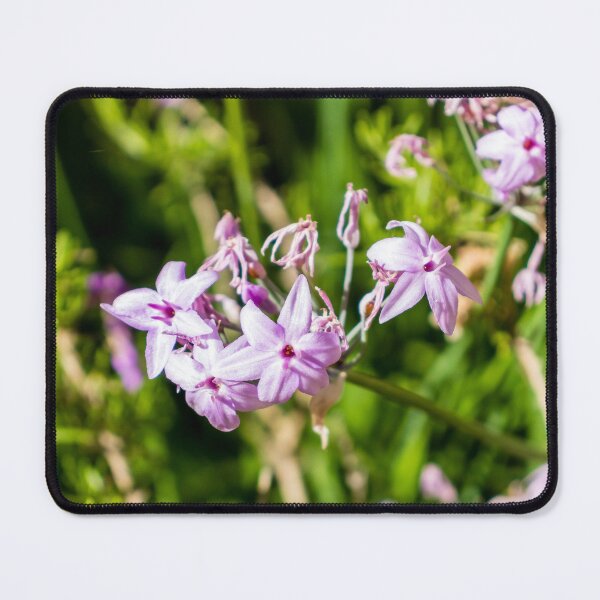 Item preview, Close-Up Of Delicate Purple Wildflowers Blooming In Sunlit Green Garden With Soft Pink Petals designed and sold by Nmallia.