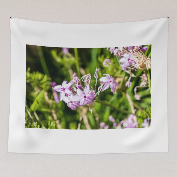 Item preview, Close-Up Of Delicate Purple Wildflowers Blooming In Sunlit Green Garden With Soft Pink Petals designed and sold by Nmallia.