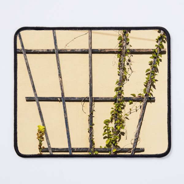 Item preview, Climbing Vines On Rustic Wooden Trellis Against Pale Yellow Garden Wall In Sunlight designed and sold by Nmallia.