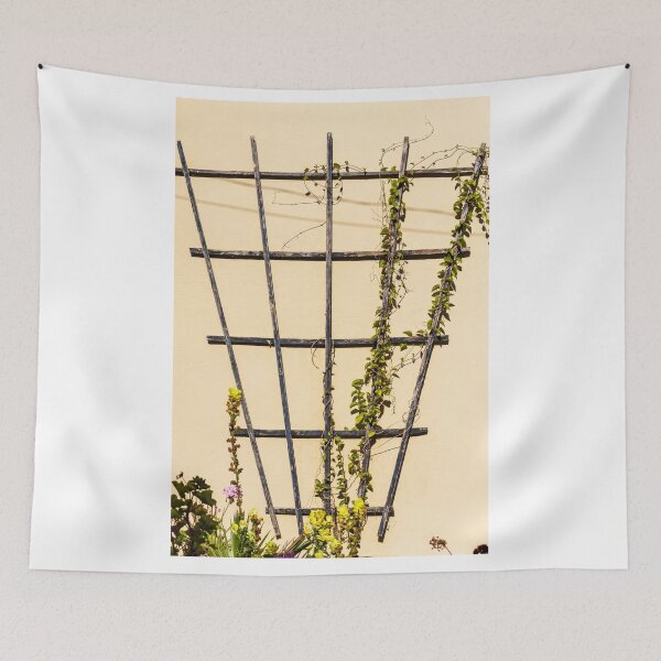 Item preview, Climbing Vines On Rustic Wooden Trellis Against Pale Yellow Garden Wall In Sunlight designed and sold by Nmallia.