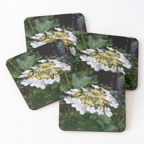 Item preview, The wild one.Guelder rose designed and sold by Jouko Lehto Photography.