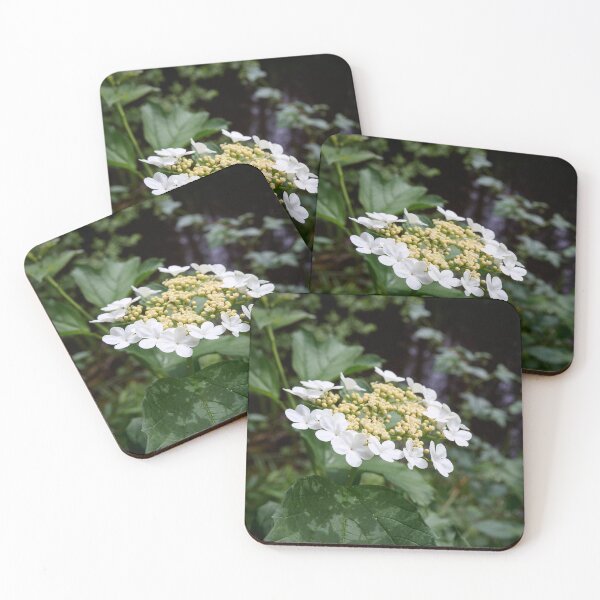 Item preview, By the river. Guelder rose designed and sold by Jouko Lehto Photography.