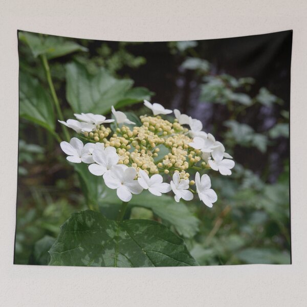 Item preview, By the river. Guelder rose designed and sold by Jouko Lehto Photography.