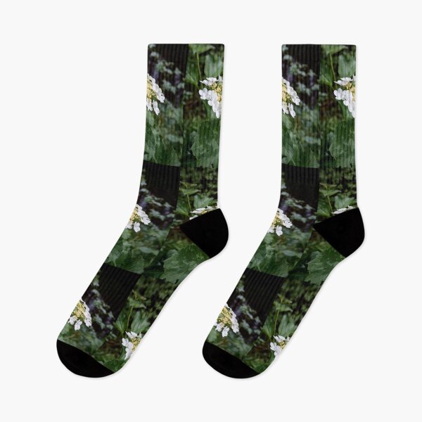 Item preview, By the river. Guelder rose designed and sold by Jouko Lehto Photography.
