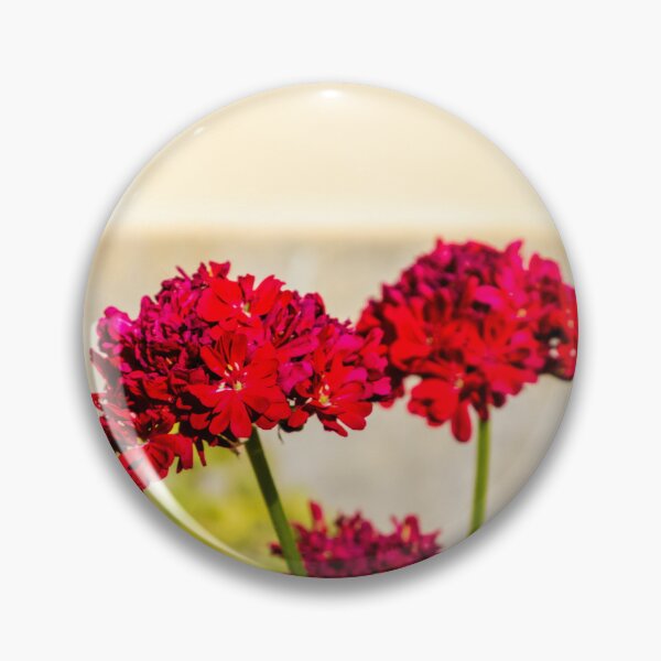 Item preview, Close-up red geranium flowers in a sunny garden with green leaves and soft background bokeh designed and sold by Nmallia.
